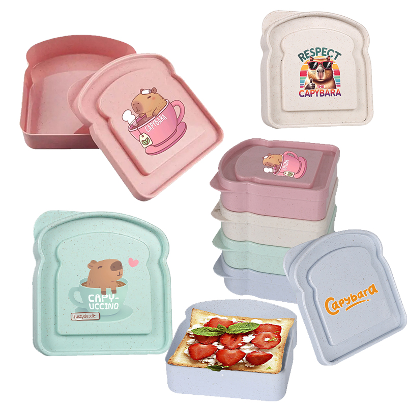 Food Storage Plastic Boxes - Caja de almacenamiento de alimentos para