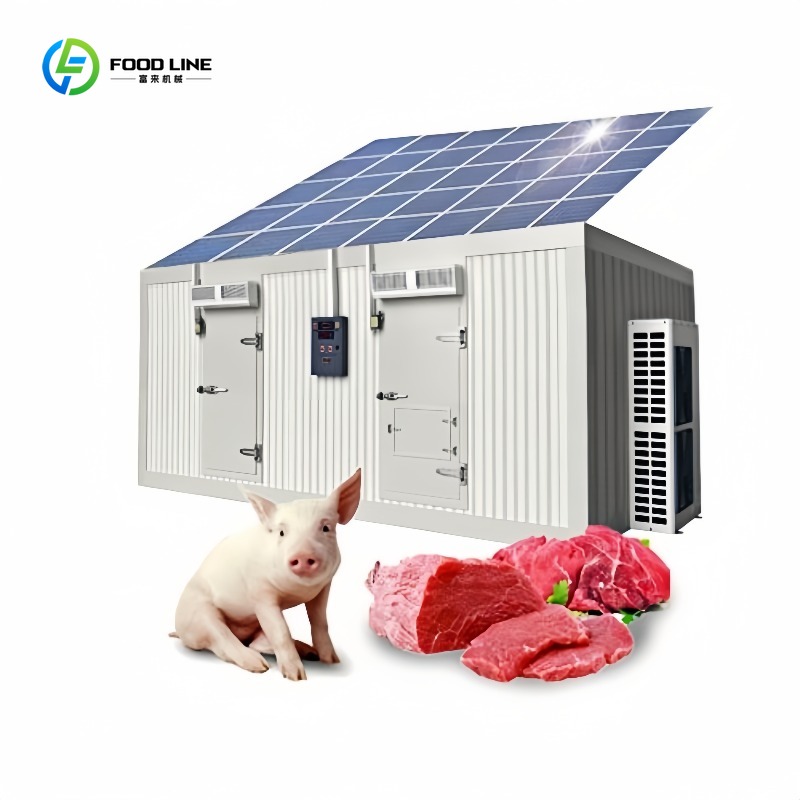 Food Storage Room - Contenedor Congelador Solar Comercial de 20