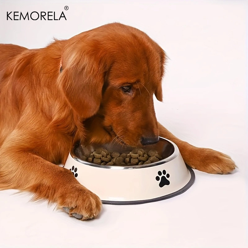 Cuenco de acero inoxidable par - Dog Food Storage Xl reseña y precio