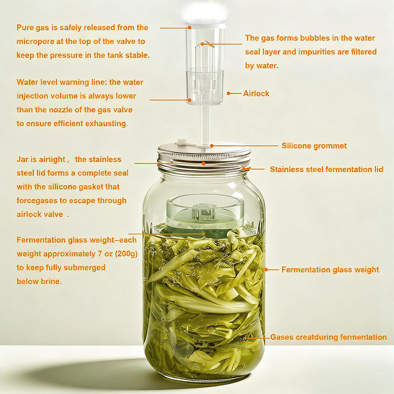 Kit de Fermentación, Juego de  - Mason Jar Wide Mouth reseña y precio