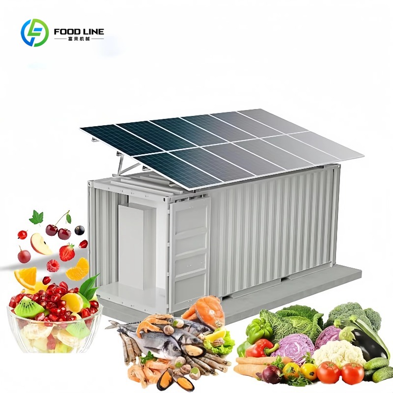 Contenedor Congelador Solar Co - Food Storage Room reseña y precio