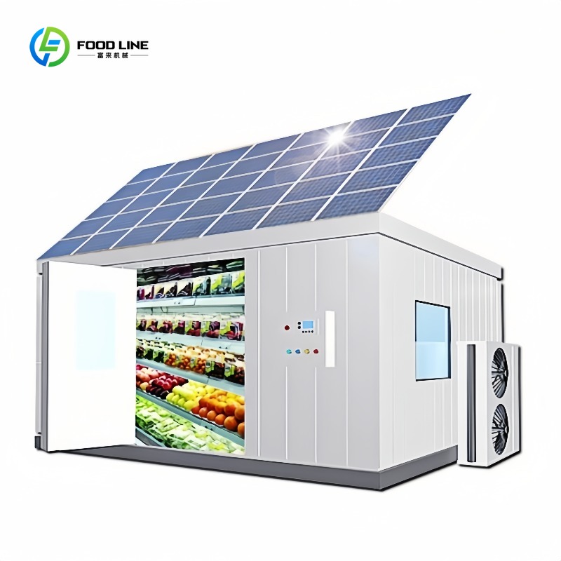 Contenedor Congelador Solar Co - Food Storage Room reseña y precio