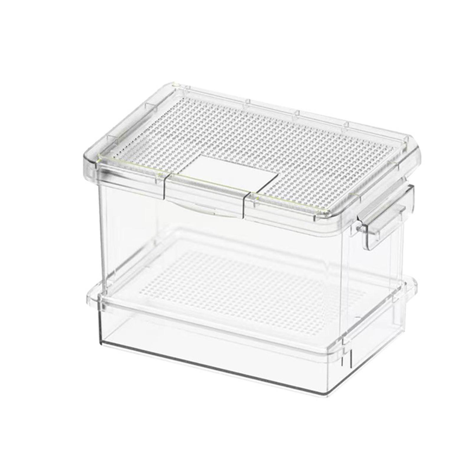 Comedero de plástico para tort - Food Storage Plastic Boxes reseña y precio