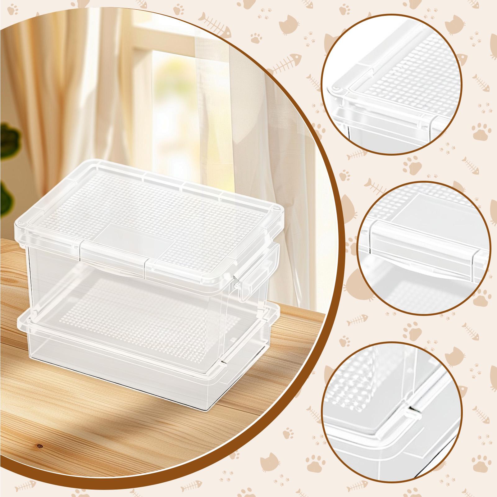 Comedero de plástico para tort - Food Storage Plastic Boxes reseña y precio