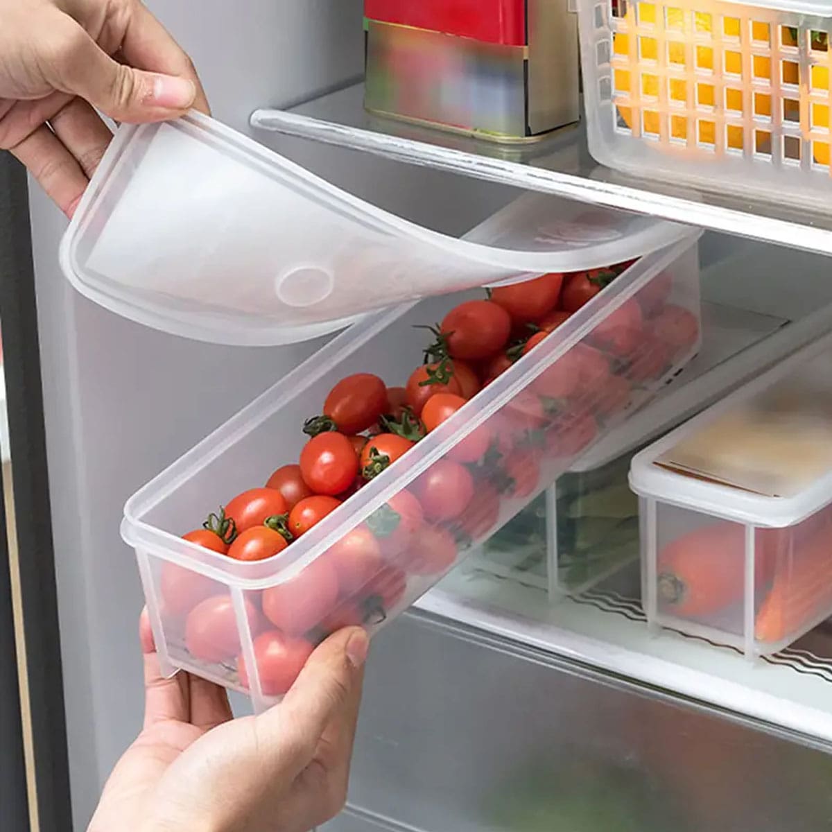 1 Caja de Almacenamiento Trans - Food Storage Plastic Boxes reseña y precio