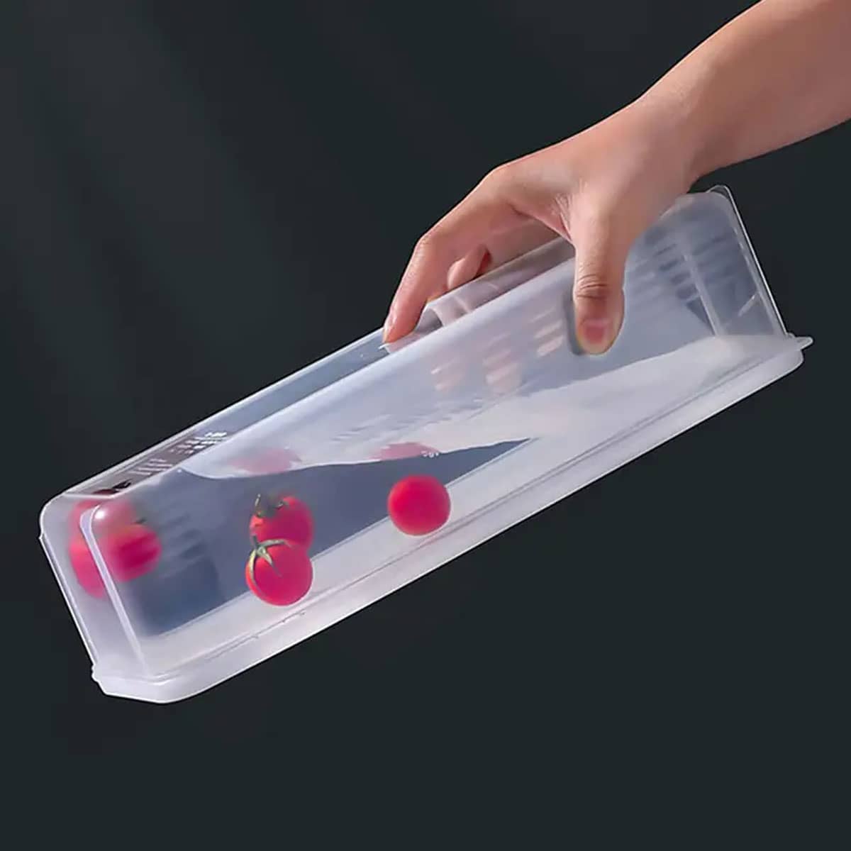 1 Caja de Almacenamiento Trans - Food Storage Plastic Boxes reseña y precio